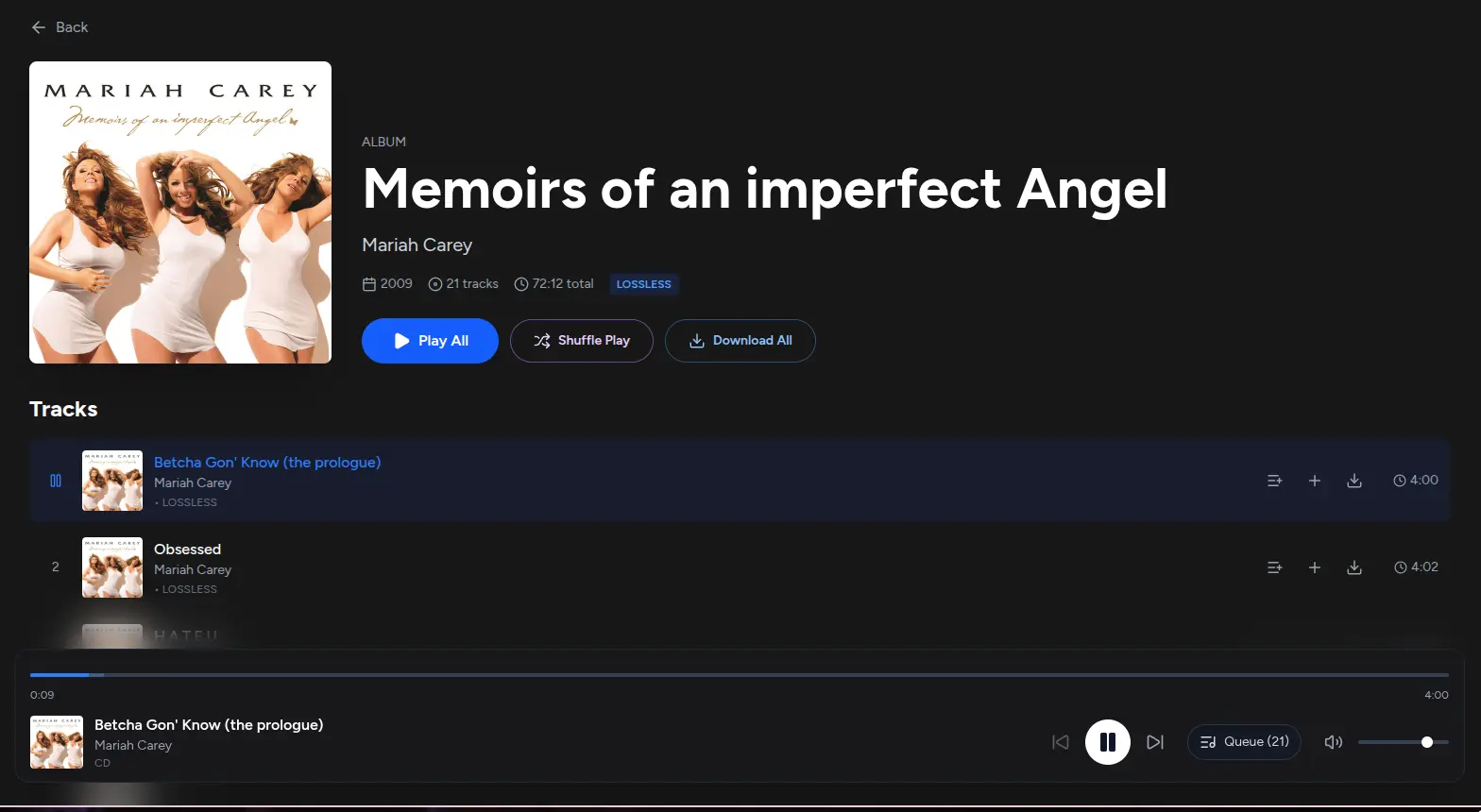 Running on BiniLossless.